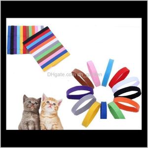 Tag, ID -kaartbenodigdheden Home Garden Drop levering 2021 Kraagidentificatie ID Kragen Band voor Whelp Puppy Kitten Dog Pet Cat Veet Practical