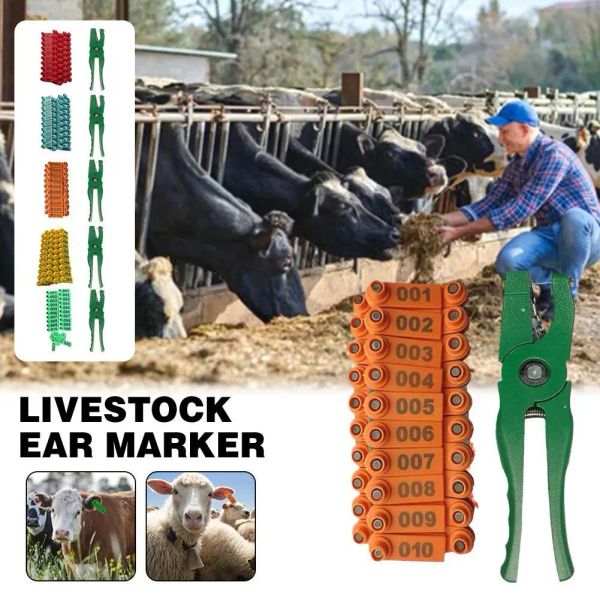 Tags 100pcs Étiquettes d'oreille pour chèvre de chèvre Pig Horse Kit d'identification avec 2pcs broches Tag étiquette d'oreille Festières