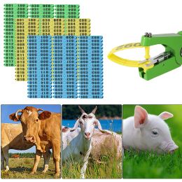 Etiquetas Etiqueta de orejas de oveja de oveja de ganado con número de impresión láser 001 ~ 100 Etiquetas de identificación de animales de aves de corral de aves de corral