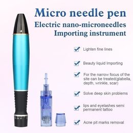 Taibo Plasma Fibroblast Pen / Dr Pen Machine Miconeedle / Fractional MiconeEdle pour Utilisation des soins de la peau