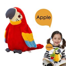 Parrot parrot de peluche de juguete para hablar récord repetitivo lindo relleno suave de relleno animal muñeco de pájaro niño regalo de bebé 240428