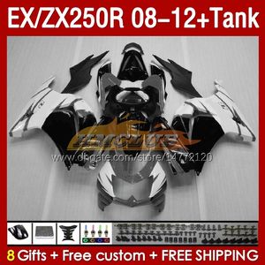 Tankinjectiebeurzen voor Kawasaki Ninja ZX250 EX250 R 2008-2012 163NO.141 EX ZX 250R EX250R ZX250R 2008 2009 2010 2012 ZX-250R 08 09 10 11 12 Fairing grijs glans