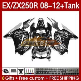 Tanque OEM Carenados para KAWASAKI NINJA ZX-250 ZX250 EX250 R ZX250R 08 09 10 2011 2012 163No.211 EX ZX 250R EX250R ZX-250R 2008 2009 2010 11 12 Inyección Carenado llamas plateadas