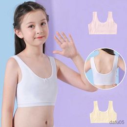 Tanktop Girls BH Children's Tops For Teen Kids Underwear Solid Color Training beha's zachte katoenen kleding 2022 Tieners Vest R230817