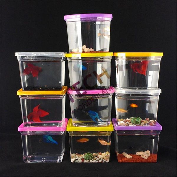 Tanques 10*7,5*8,5 CM 10 Uds. Casa Betta colorida rectángulo lucha contra el tanque de peces Betta acuario (peces no incluidos) Peceras Para tanque Bettas