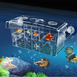 Tanks 4 pièce transparente acrylique selffloating fish halching box aquarium reproleding incubator isolement bac à double couche