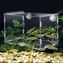Tanks Aquarium Aislamiento Box Fish Tank Caja de reproducción Pequeña Caja de reproducción Multifuncional Accesorios de Aquarium Accesorios de Aquarium Supplie