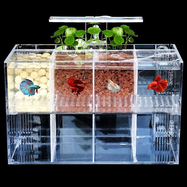 Tanques Caja de aislamiento de cría de alevines de peces pequeños y creativos, tanque de peces de escritorio acrílico, regalo para acuario con luz Led