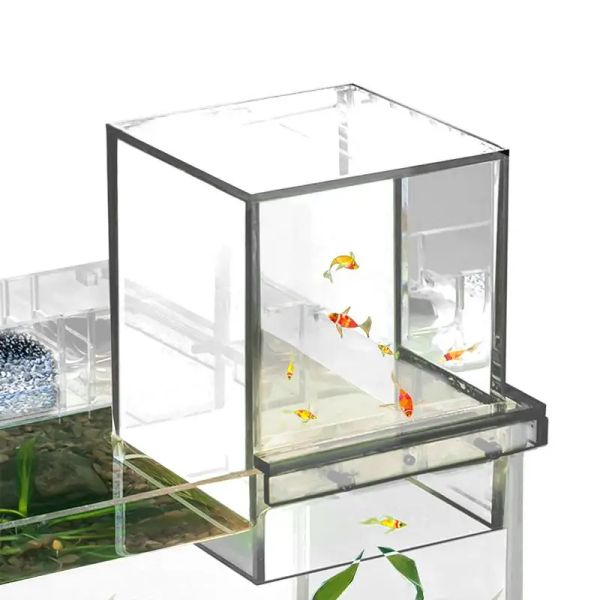 Réservoirs d'aquarium de poissons, petit réservoir d'ascenseur de poissons Transparent, acrylique léger inversé au-dessus de l'eau, Aquariums de poissons