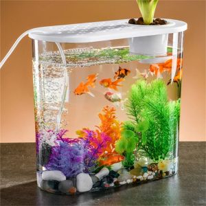 Tanks FishTank Hydrocultuur Desktop Plant Terrarium Desktop Clear Table Fish Bowl Desktop Aquarium Aquaponic Planter Tanks