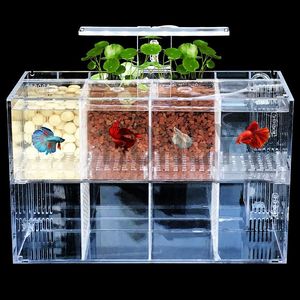 Tanks Hongyi 1 pièce Acrylique Bettas Cylindre isolé Réservoir de Poissons incliné Pompe à Eau élevage Cylindre bébé Betta réservoir Guppy élevage