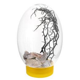 Tanks Klein terrarium Klein aquarium Glazen aquarium Mini aquarium Ornament Container Aquatic Ecosphere Feed Desktop Fish Tank