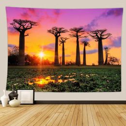 Tapestries aggcual Mooie natuurlijk landschap tapijtwand hangend 3d geprinte esthetische kamer decor muurschildering strand handdoek voor sprei's mat tap125