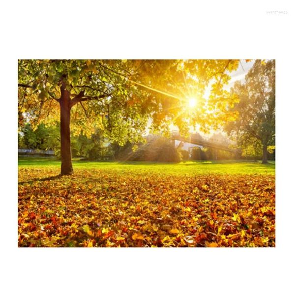 Tapisseries Tapisserie de forêt Rayons de soleil à travers les arbres Campagne Scenic Tenture murale pour chambre à coucher Salon Dortoir Décor Facile à utiliser