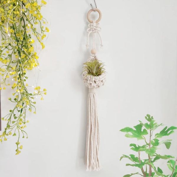 Tapisches Macrame Air Plant Hangre Mini Basket Wall suspendu plantes succulentes Grass Tillandsia Holder Boho Indoor Outdoor Home Decor