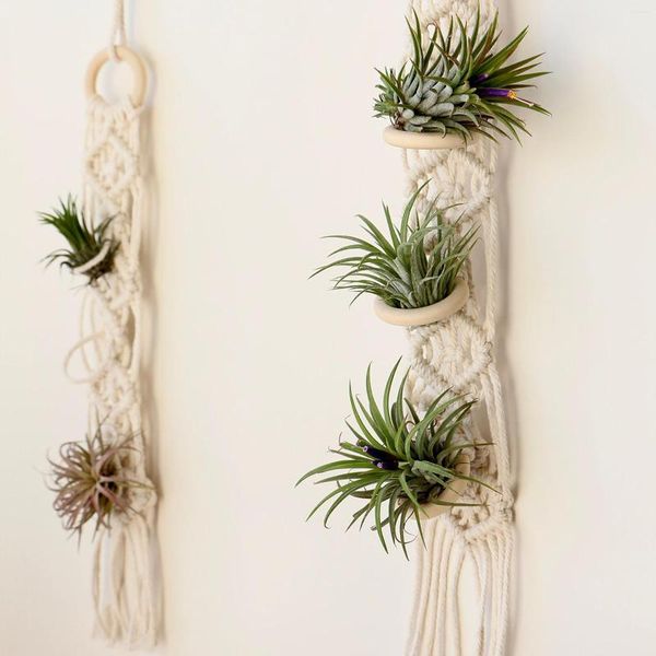 Tapices Macrame Air Plant Hanger Simple Bohemia Moderna Granja Interior Pantalla Tillandsia Algodón - Sin Plantas