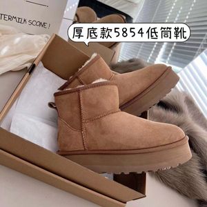 Tasman Pantoufles Châtaigne Fourrure Diapositives Peau De Mouton Shearling Tazz Classique Mules Femmes Hommes Ultra Mini Plate-Forme Botte Slip-on Chaussures En Daim Supérieur