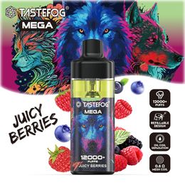 TasteFog Mega 12000 Puffs 2% Salt de nicotine Pod de vape E-cigarette jetable pré-rempli