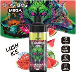 TasteFog Mega 12000 Puffs en gros rechargeable et rechargeable Vape E-Cigarette Pod Kit