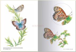 Tattoo Book Butterfly Hand Drawing Técnica Color Técnica de dibujo Introducción a la pintura Auto estudio cero libros básicos 240423
