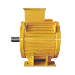 Serie TBVF Magnet Magnet Magnet Synchronous Variable Motor Minería