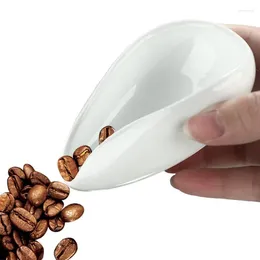 Plateau à thé Coffee Dosing Play Séparateur Vessel Spoon Scoo