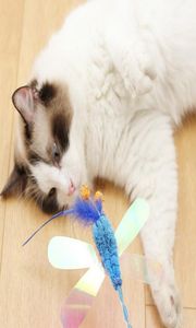 Teaser plume jouets chaton drôle papillon Dragon tige chat baguette jouets chat interactif bâton fournitures pour animaux de compagnie 9348016