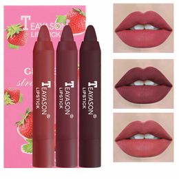 Teayason 3 stks/set lipstick pen kleine doos matte langdurige lip voering waterdichte geen fading populair draagbaar make -up cadeau tslm1