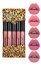 Teyason 5pcs Nude Matte Liquid Lipstick Set Sexy Red Velvet Lip Bloss étanche à maquillage durable