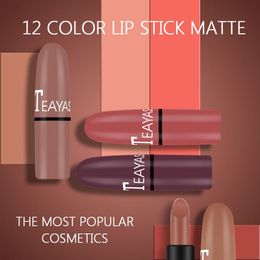 Teayason Lipstick Ladies Beauty Cosmetics Matte en Pumpkin Color Bean Paste Lip Solid Gloss Lipstick Pen Make -up Tool