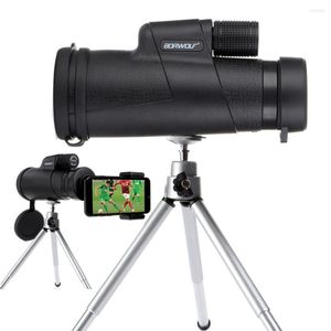 Télescope Borwolf 10X42 monoculaires BAK4 prisme FMC lentille optique haute puissance chasse observation des oiseaux étanche Vision nocturne