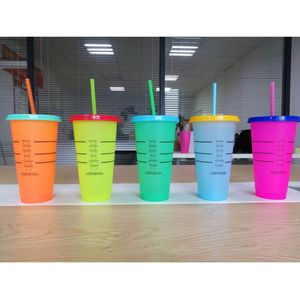 Changement de température couleur tasses en plastique 700 ML 24 oz coloré eau froide couleur changeante tasse à café tasse bouteilles d'eau avec paille DBC VT0514