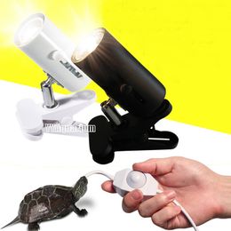 Temperioure Pas Lamphouder 360 Roterende keramische lamp Schaduw Lichtstand voor voor aquaria Amfibieën Reptile Tortoise Lizard