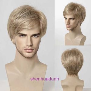 Temus New Mens à la mode et élégants cheveux courts à haute température Silk Synthetic Fibre Bandband Perre