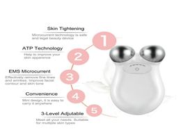 Machine de levage tendre Machine à la peau et à la couleur Dispositif de correspondance Micro Current Masqueur Facial Beauty Anti-Wrinkle FA8636627