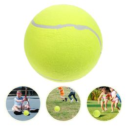 tennisballen buitenspeelgoed kinderen opblaasbare rubberen bal hond 20x20cm kinderen groot blauw 230620