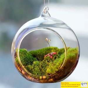 Paisaje de terrario de cristal transparente con forma de bola, jarrón de cristal colgante transparente, flores, plantas, contenedor de terrario, Micro DIY