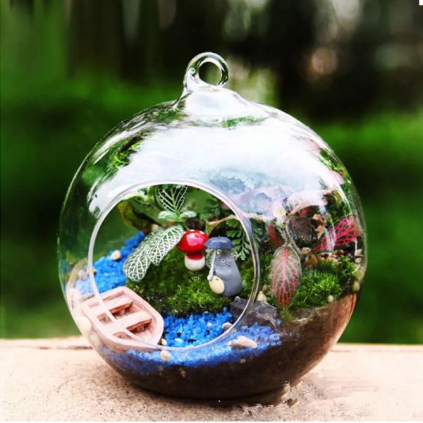 Terrarium paysage verre ransparent boule forme clair suspendu verre Vase fleur plantes Terrarium