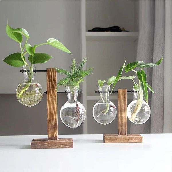 Terrarium plantes Vases hydroponique Vintage Pot de fleur en verre Transparent étagères en bois table maison bonsaï décor 240131