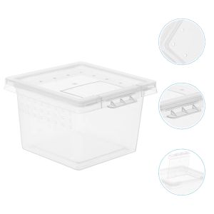 Terrariums 100 PCS PET -VERVOERDOP INSECT FOOP Container Dozen Transparante kooi Plastic ei -incubators voor kippenreptiel