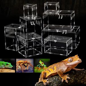 Terrariums Boîte d'élevage de Reptiles en Acrylique, boîte d'élevage d'animaux grimpants boîte d'alimentation de Reptiles en Acrylique Transparent Terrarium magnétique d'escalade pour Animaux de Compagnie