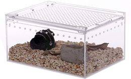 Terrariums Boîtier en acrylique pour reptiles, boîtier plat et long, boîte d'élevage de reptiles transparente, cage de terrarium pour tarentule, scorpion, isopodes