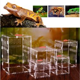 Terrarium Lézard, Turtle Acrylique Boîte de reproduction en acrylique Boîte de reptile transparent Boîte de reproduction d'animaux