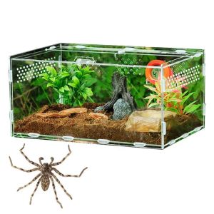 Terrariums nieuwe acryl terrarium spin fokkist reptiel voedingsdoos voor het klimmen van huisdier terrarium slang spin schorpioen centipede