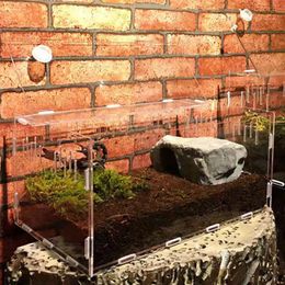 Terraria Reptiel Tank Insect Spinnen Schildpad Hagedis Acryl Transparant Kweekbak Vivarium Deksel Reptiel Huisdier Product Terrarium