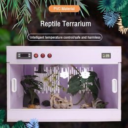 Terraria Reptielterrarium Afneembare voerbox Schildpadhagedis Uitkomen Container Opfoktank Reptielen Amfibieënhabitat