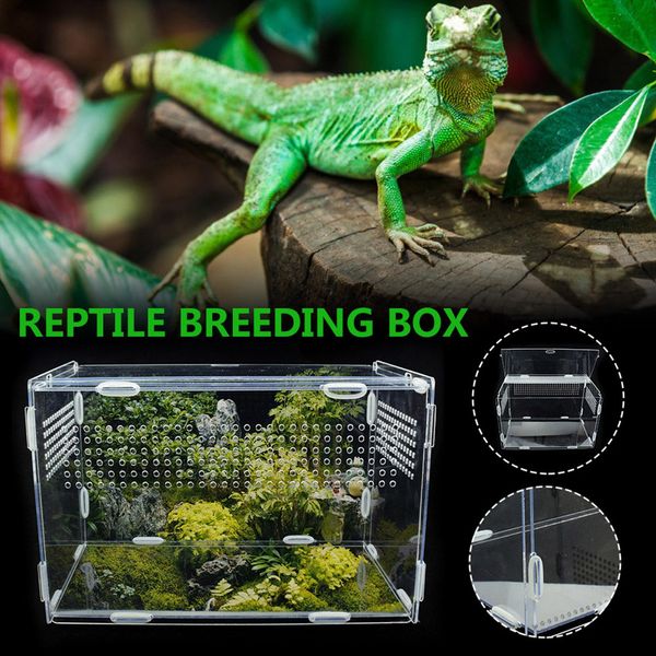 Terrariums Boîte d'élevage de reptiles, tortues, lézards, incubateur, boîte de visualisation d'insectes en acrylique respirant pour petit animal de compagnie, araignée, grenouille, lézard