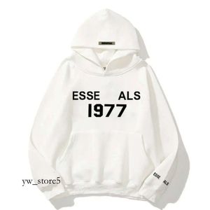 Tessentialhoodies Ess Essentialhoodies Herenmode Trui Trend Straat Losse sportkleding Jas Pullover Sweatshirt Jassen Schaken Feestjurk 7114