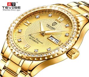 Tevise Luxury Golden Men Quartz Watch en acier inoxydable Date de bracelet étanche.