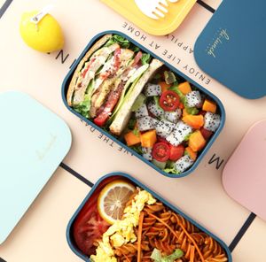 La dernière boîte à lunch en plastique à double couche de bocal alimentaire de 1,6 L, de nombreuses options de couleur prennent en charge le logo personnalisé